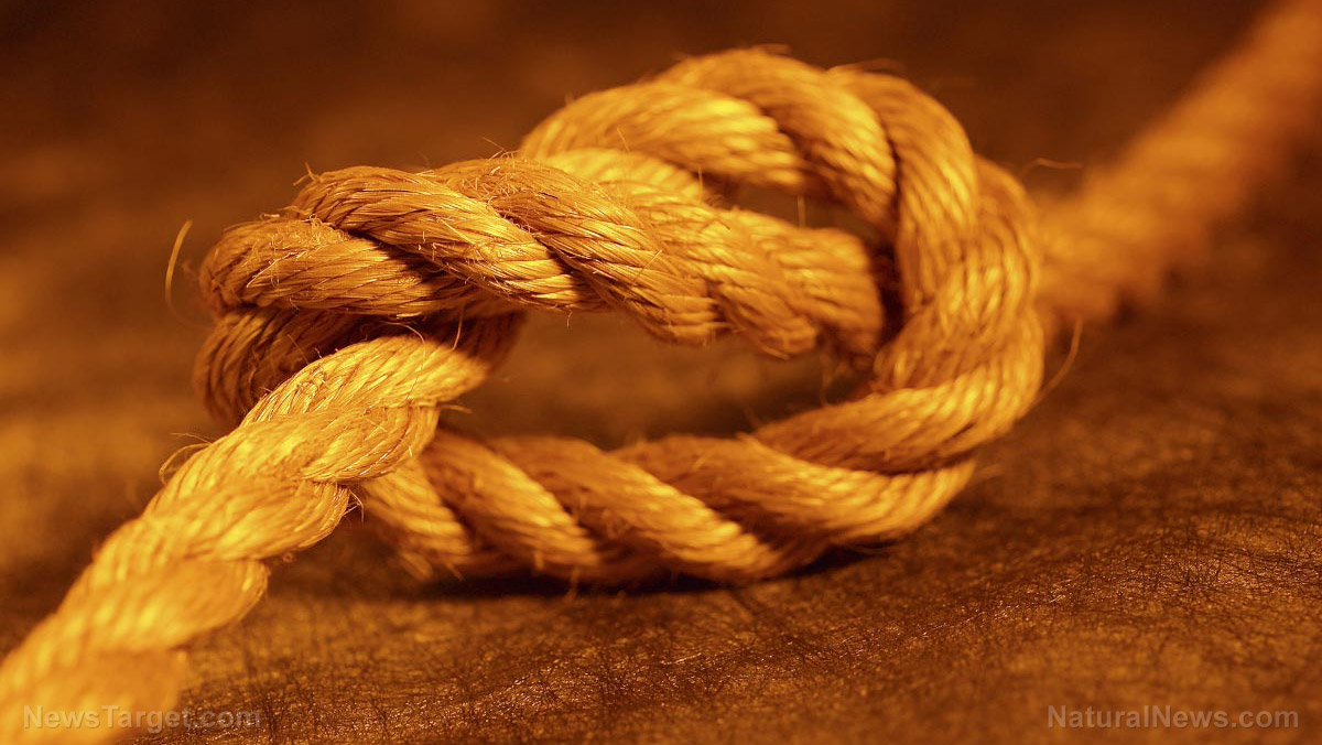 Do you know how to tie these 6 essential knots?